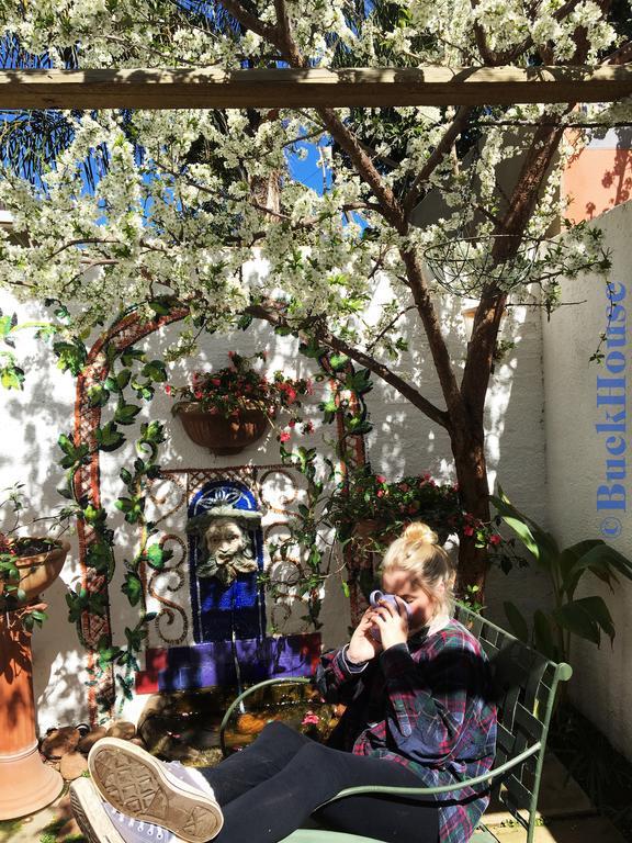 Buckhouse Elegant Village Apartment ハイデルベルグ エクステリア 写真